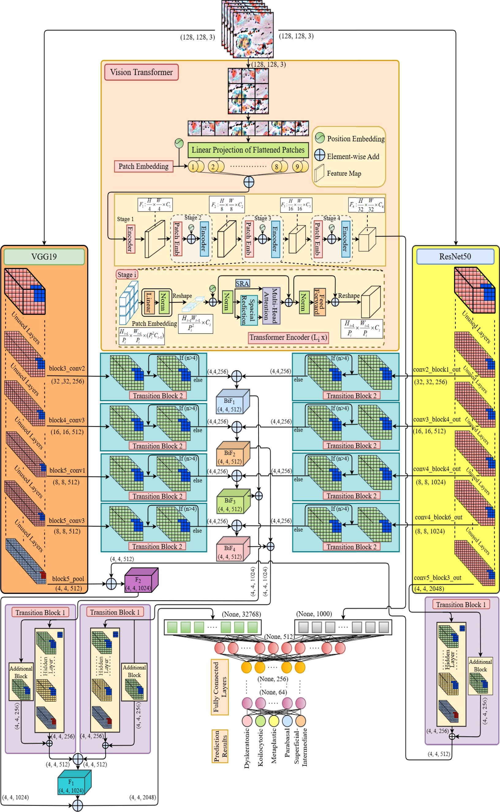 transfusionnet_architecture.jpg